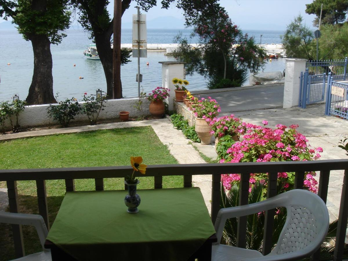 Olga Studios Άφησσος Δωμάτιο φωτογραφία