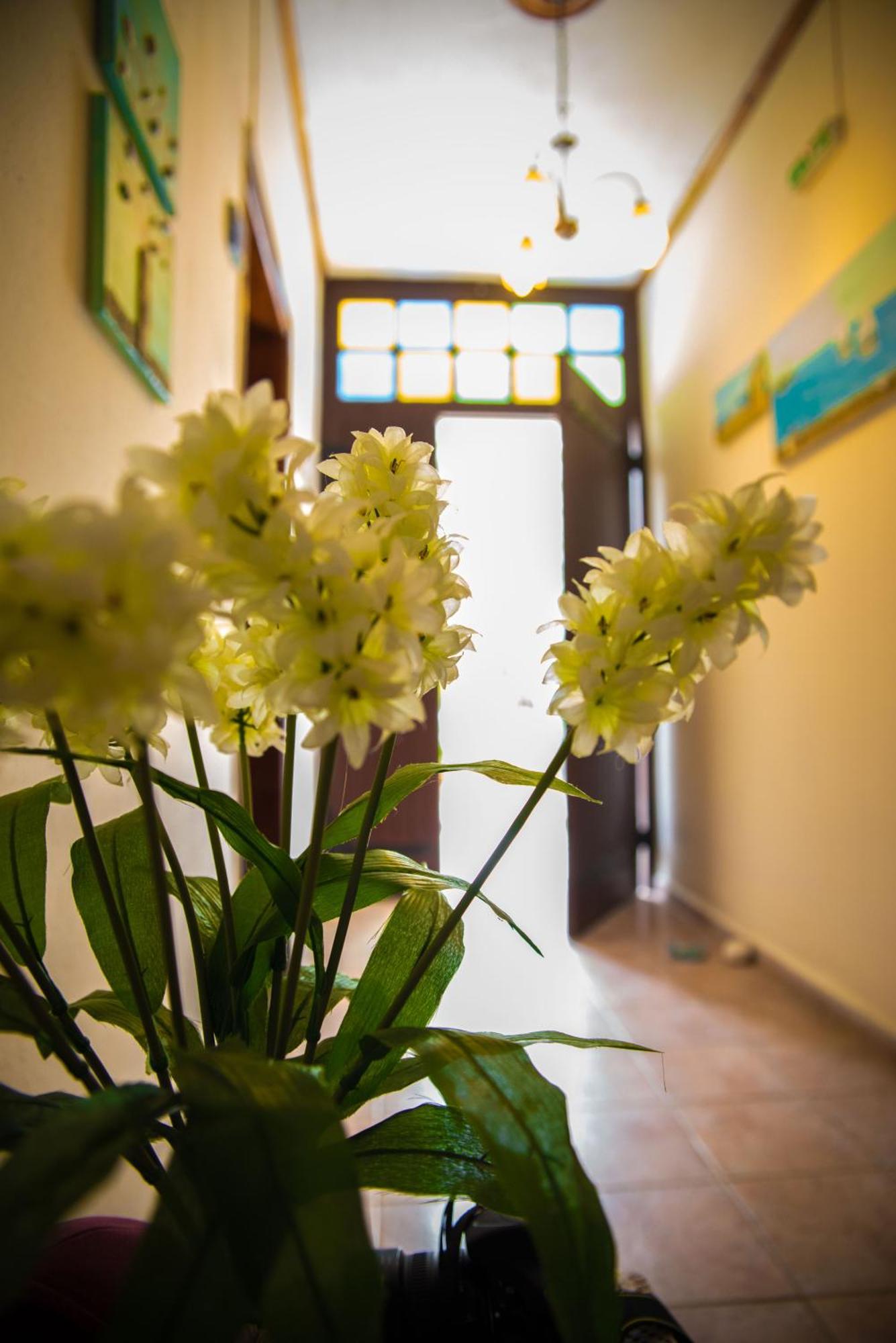 Olga Studios Άφησσος Δωμάτιο φωτογραφία